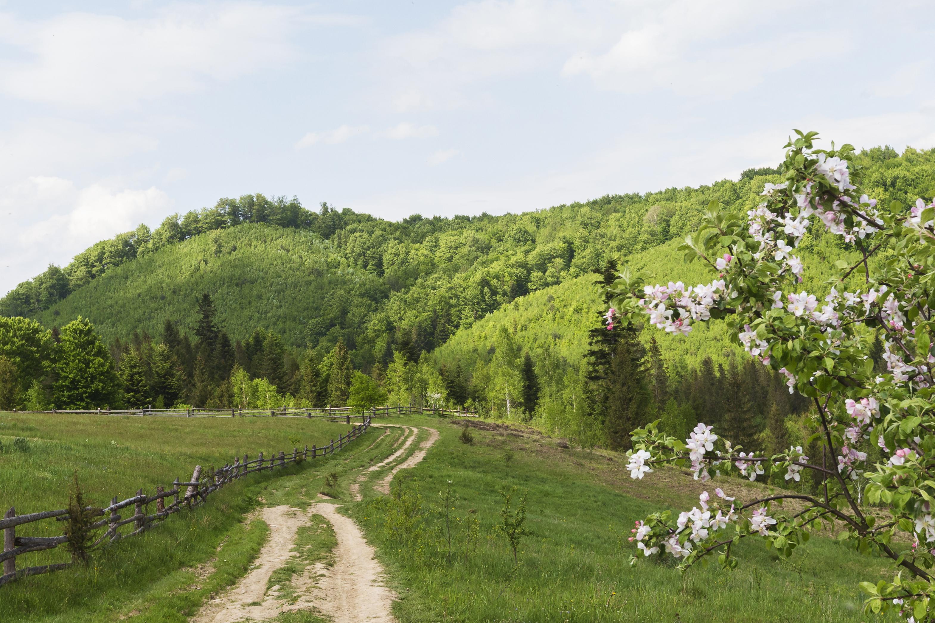 De ce primăvara este momentul perfect pentru o ieșire în natură?
